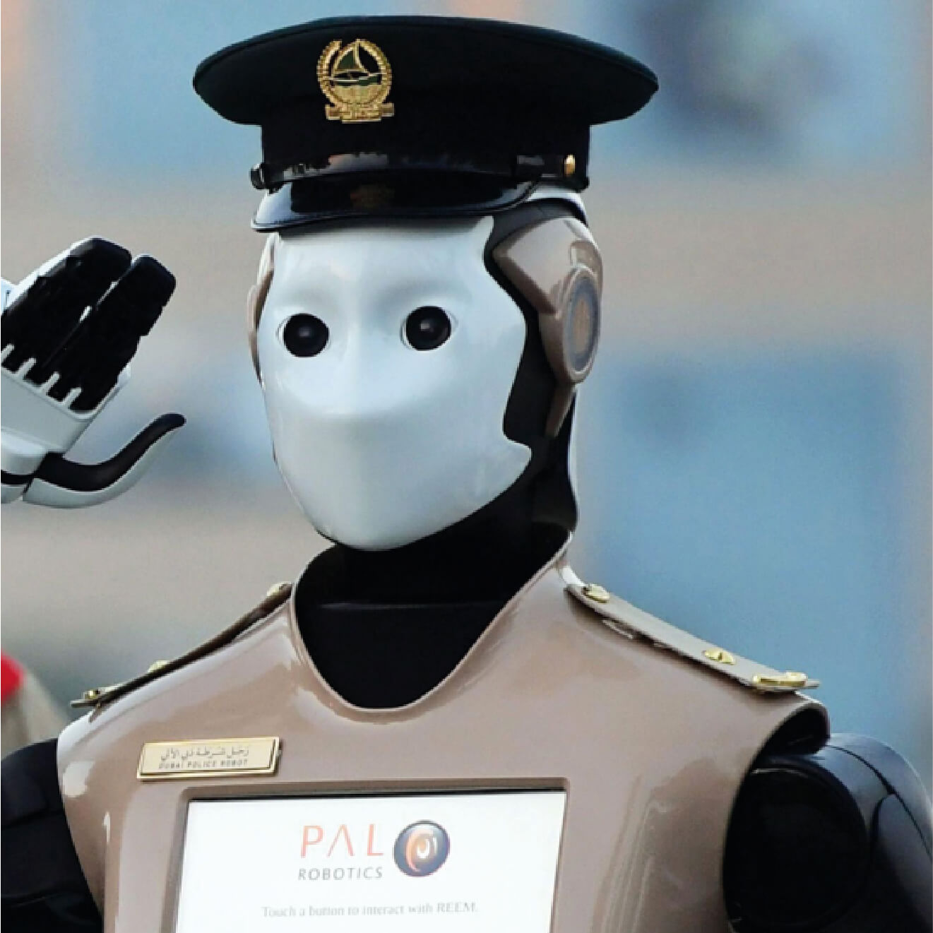 imagenes para galeria